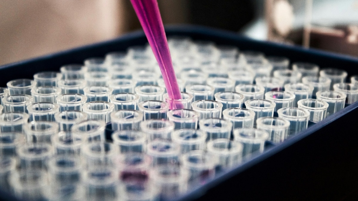 A clinical research in a laboratory